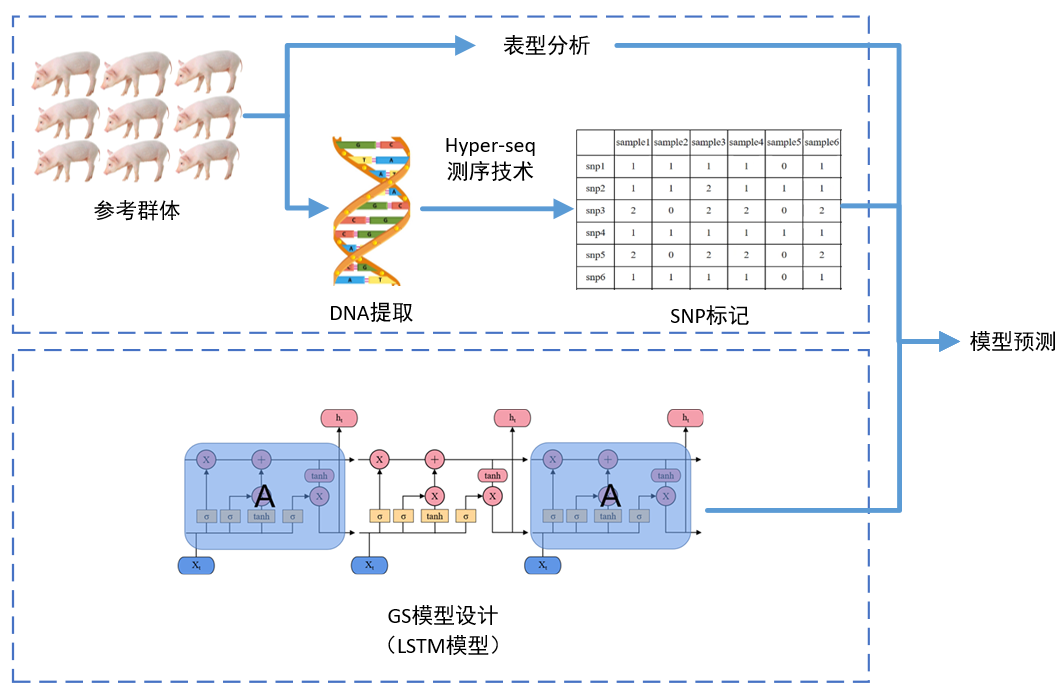 深度学习GS育种