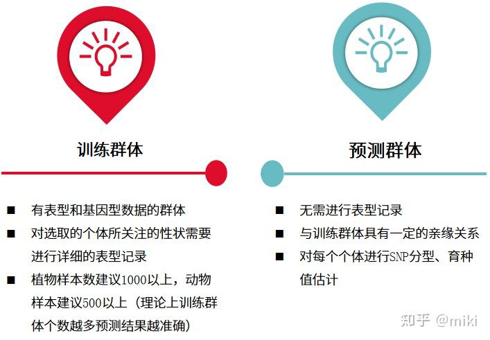 训练群体和预测群体选择