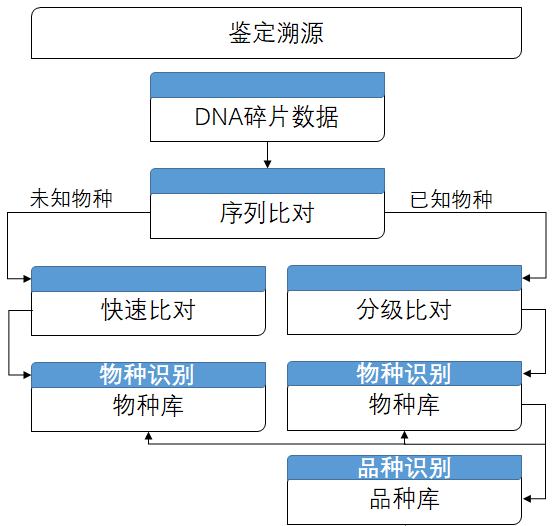百香果基因组研究